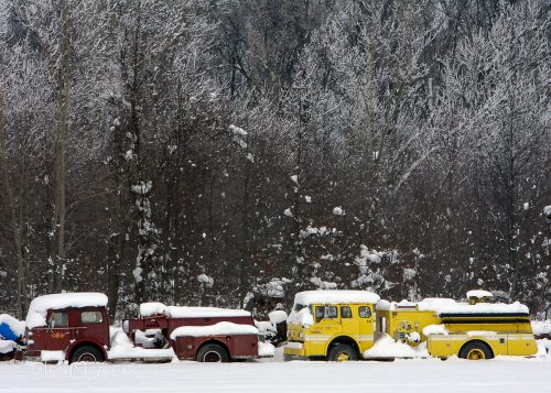 Vintage fire trucks parked in snow beside frosted trees
