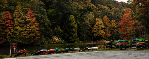 Canoes and kayaks racked beside a lake in autumn