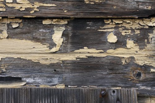 Peeling paint revealing dark weathered wood boards