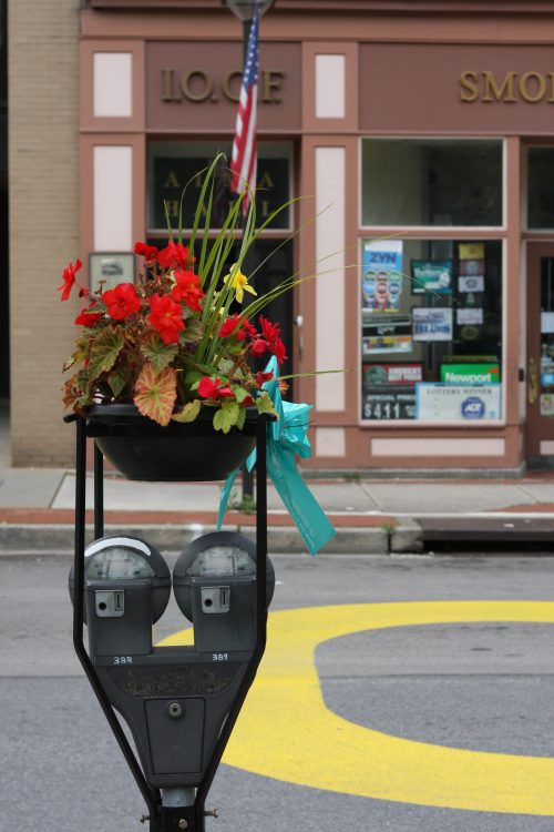 Red flowers in a hanging planter on a parking meter