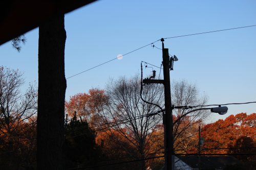 Full moon rising above autumn trees and a power line