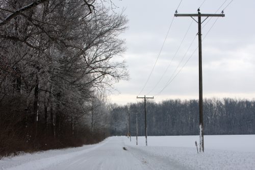 Snowy rural road lined with utility poles and bare trees